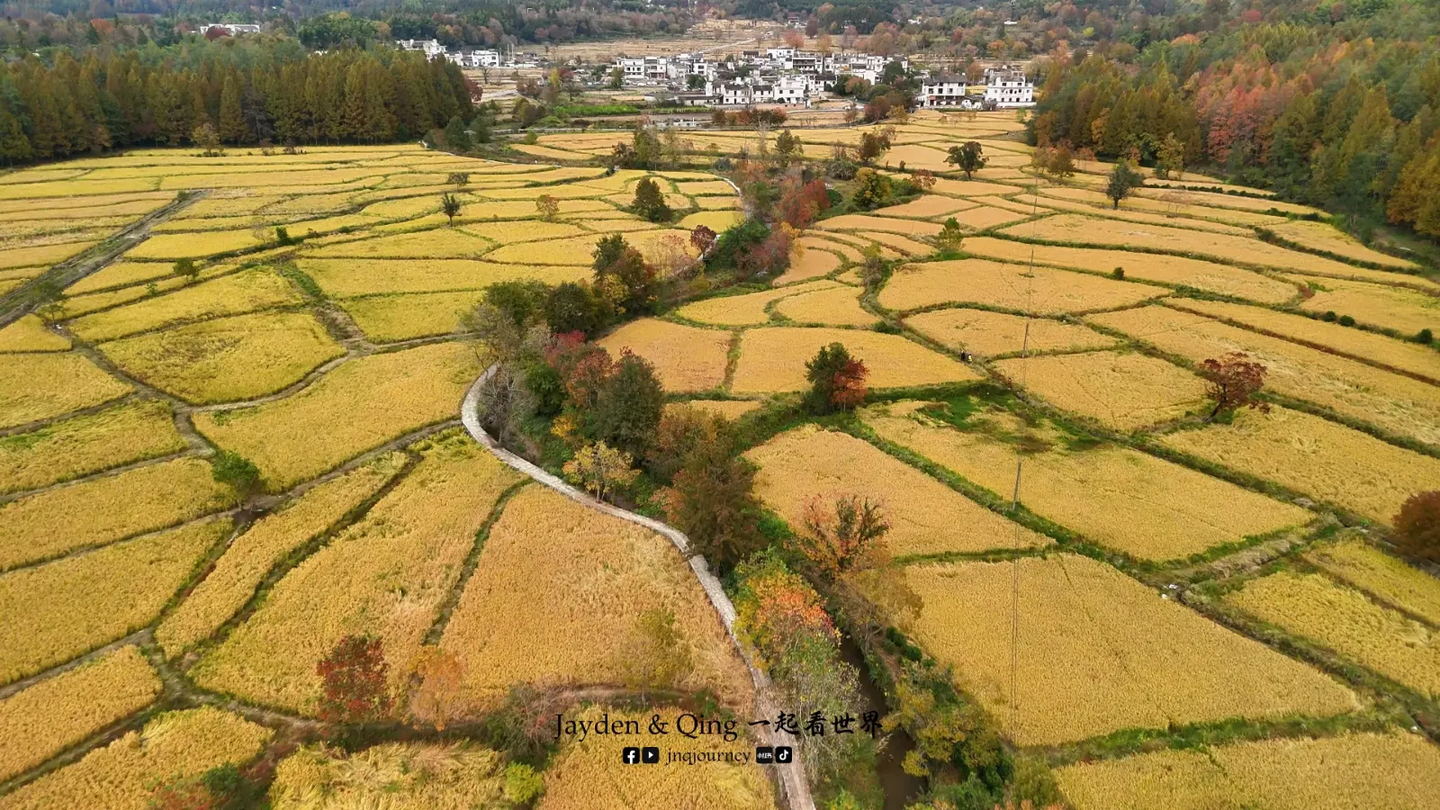 Hongcun Rice Fields